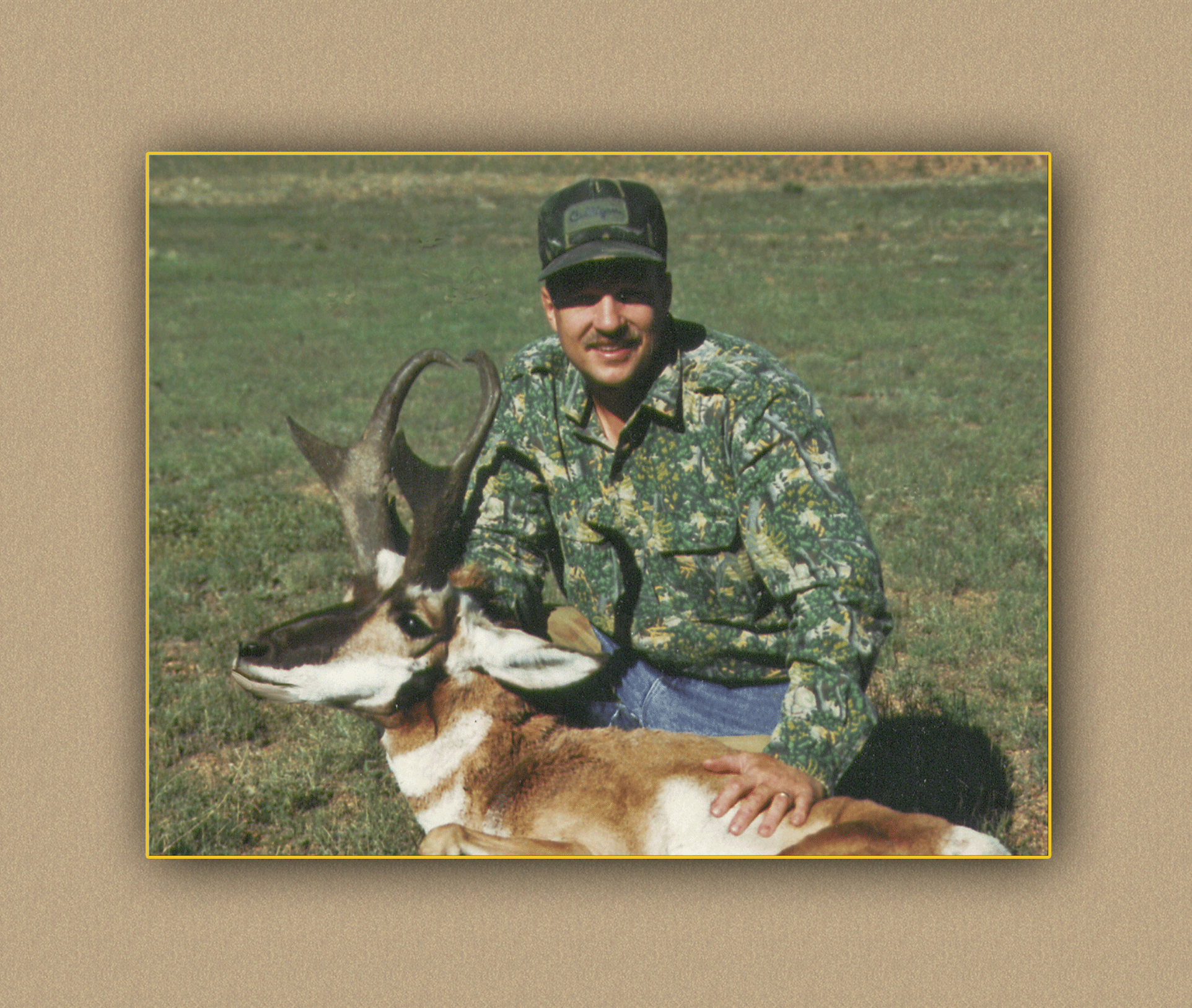 hunting yellowhorn bighorn sheep guiding outfitting deer elk antelope photography