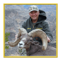 arizona hunting yellowhorn arizona bighorn sheep guiding outfitting deer elk antelope photography