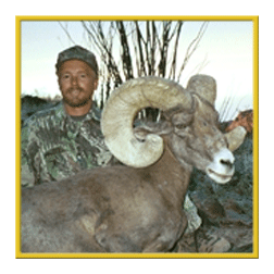 arizona hunting yellowhorn arizona bighorn sheep guiding outfitting deer elk antelope photography