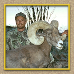 yellowhorn outfitters arizona hunting yellowhorn outfitters  arizona bighorn sheep guiding outfitting deer elk antelope photography