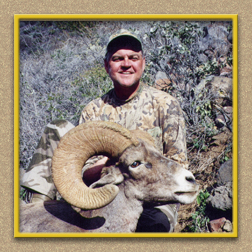 yellowhorn outfitters arizona hunting yellowhorn outfitters arizona bighorn sheep guiding outfitting deer elk antelope photography