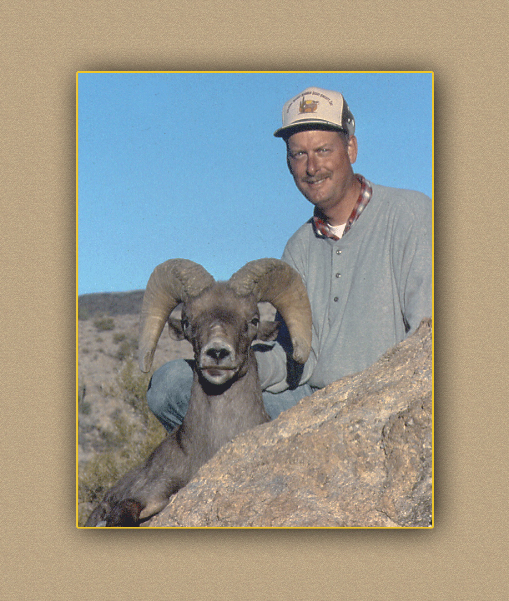 yellowhorn outfitters arizona hunting yellowhorn arizona bighorn sheep guiding outfitting deer elk antelope photography