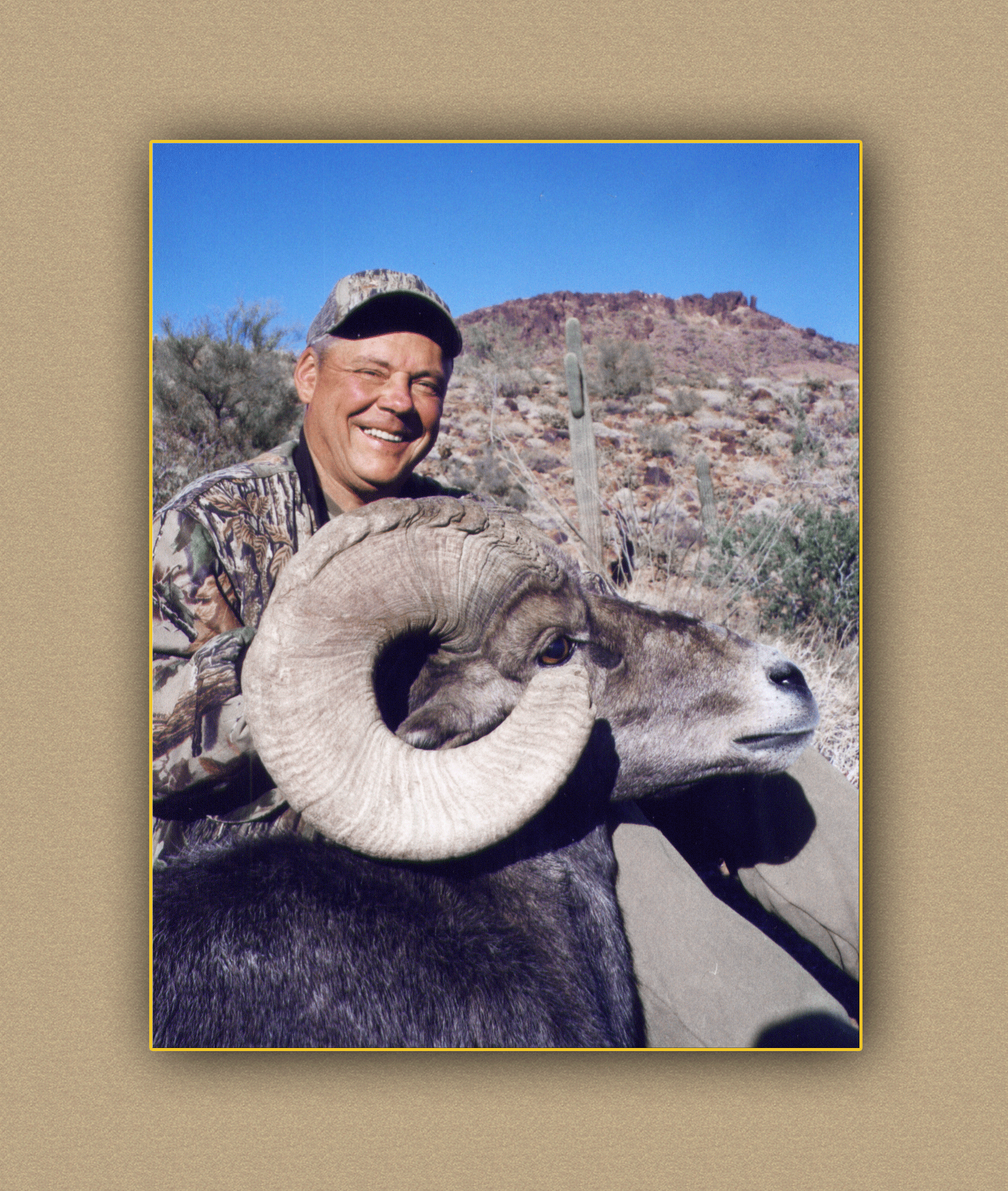 yellowhorn outfitters arizona hunting yellowhorn arizona bighorn sheep guiding outfitting deer elk antelope photography