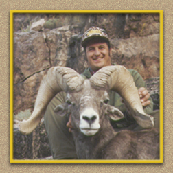 yellowhorn outfitters arizona hunting yellowhorn outfitters arizona bighorn sheep guiding outfitting deer elk antelope photography