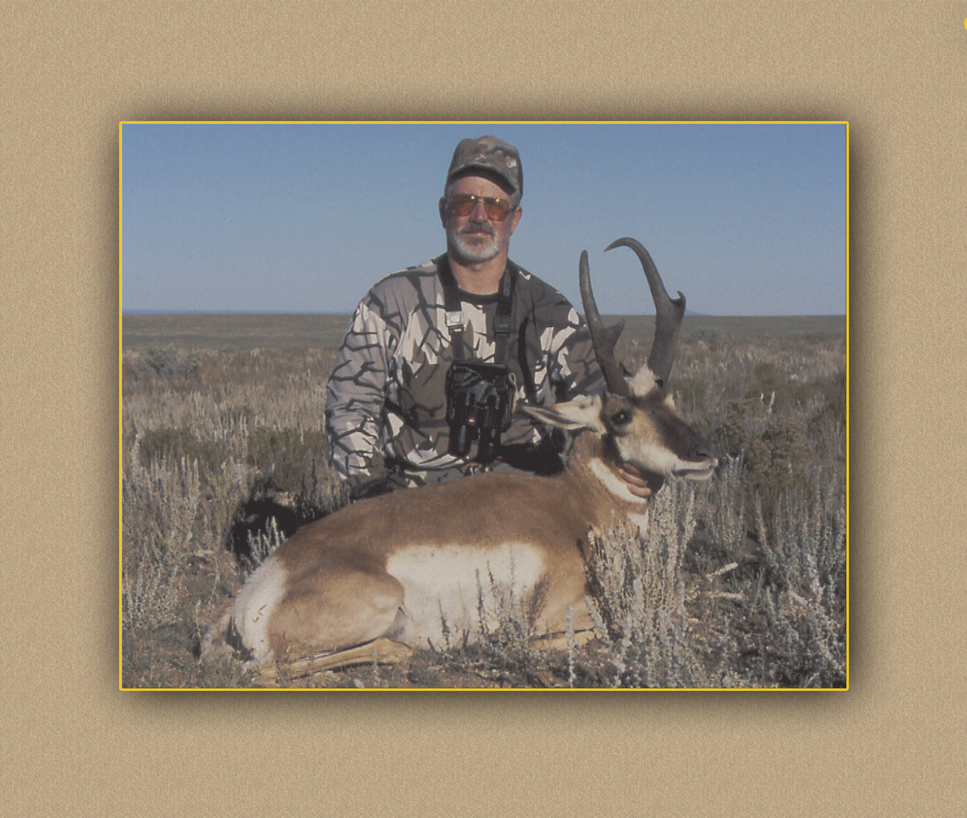 yellowhorn outfitters arizona hunting yellowhorn outfitters bighorn sheep guiding outfitting deer elk antelope photography