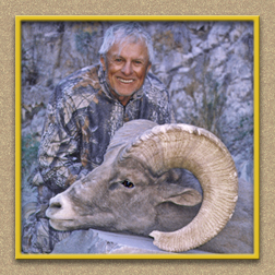 yellowhorn outfitters arizona hunting yellowhorn outfitters arizona bighorn sheep guiding outfitting deer elk antelope photography