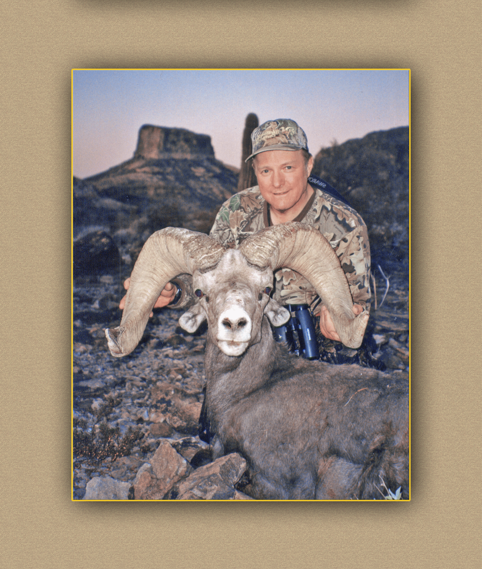 yellowhorn outfitters arizonahunting yellowhorn outfitters guiding outfitting deer elk bighorn sheep antelope photography 