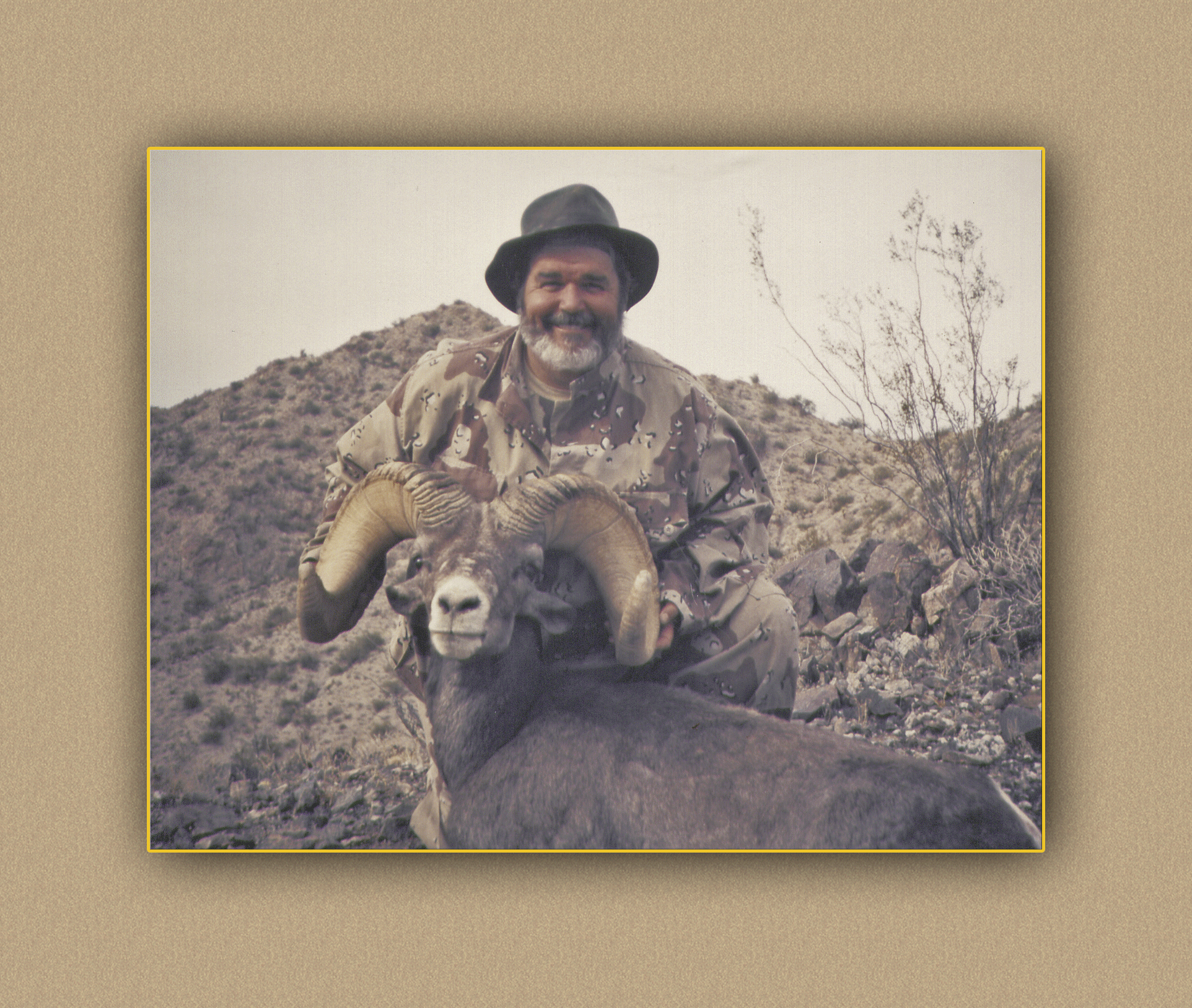 yellowhorn outfitters arizona hunting yellowhorn outfitters arizona bighorn sheep guiding outfitting deer elk antelope photography