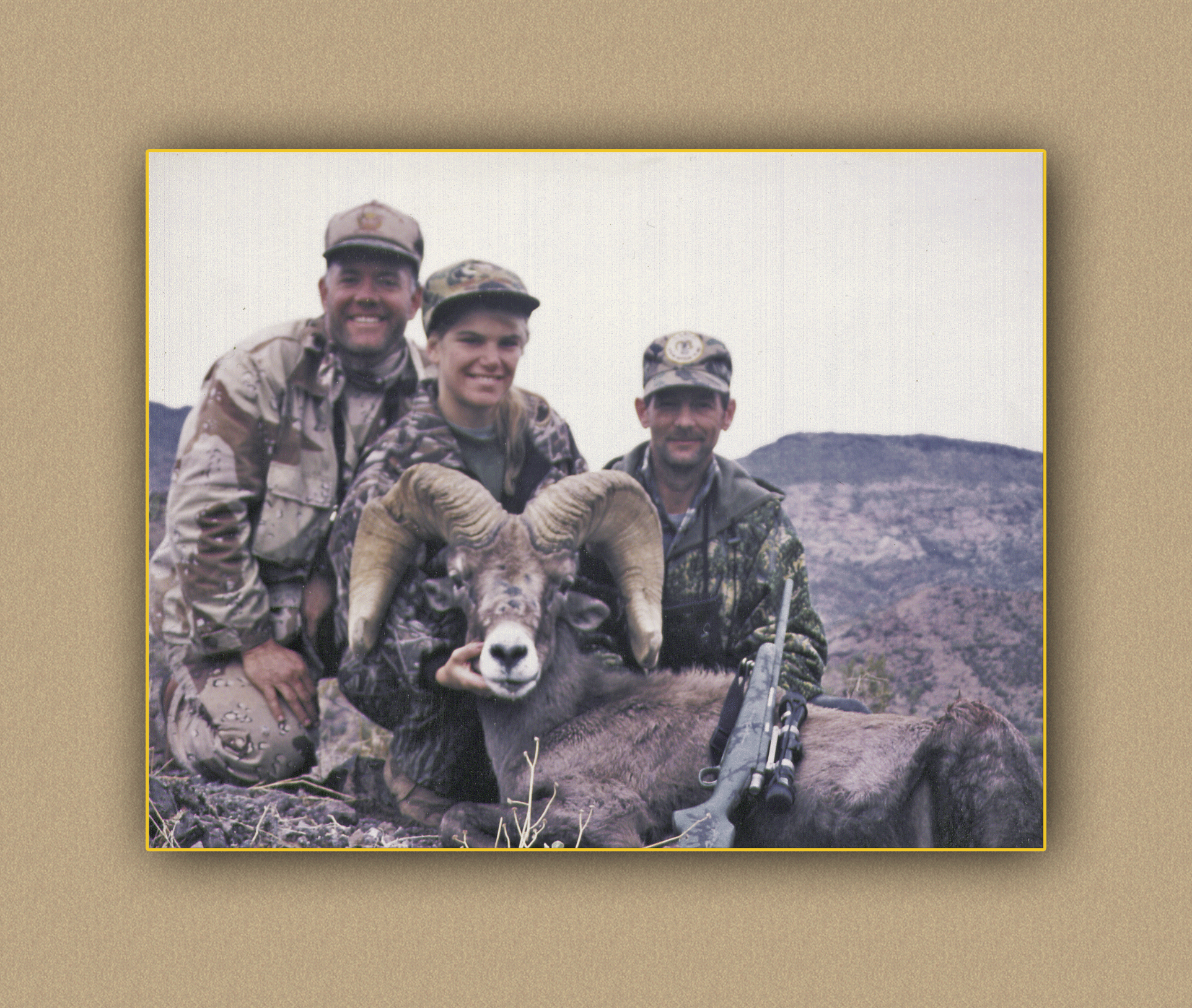 yellowhorn outfitters arizona hunting yellowhorn outfitters arizona bighorn sheep guiding outfitting deer elk antelope photography