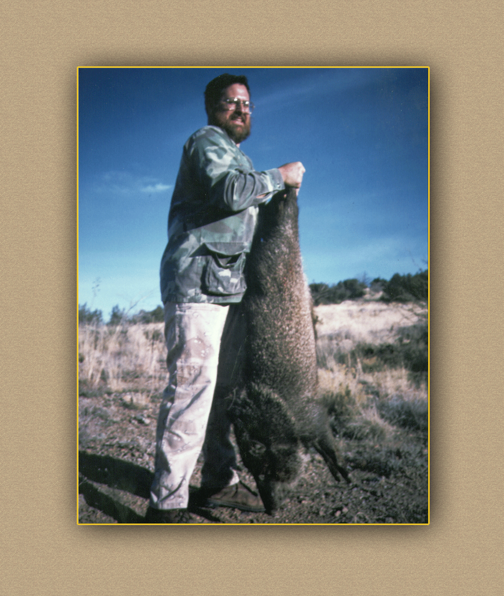 yellowhorn outfitters arizona hunting yellowhorn outfitters arizona bighorn sheep guiding outfitting deer elk antelope photography