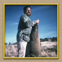 yellowhorn outfitters arizona hunting yellowhorn arizona bighorn sheep guiding outfitting deer elk antelope photography