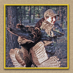 arizona hunting yellowhorn arizona bighorn sheep guiding outfitting deer elk antelope photography