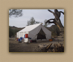 arizona hunting yellowhorn arizona bighorn sheep guiding outfitting deer elk antelope photography