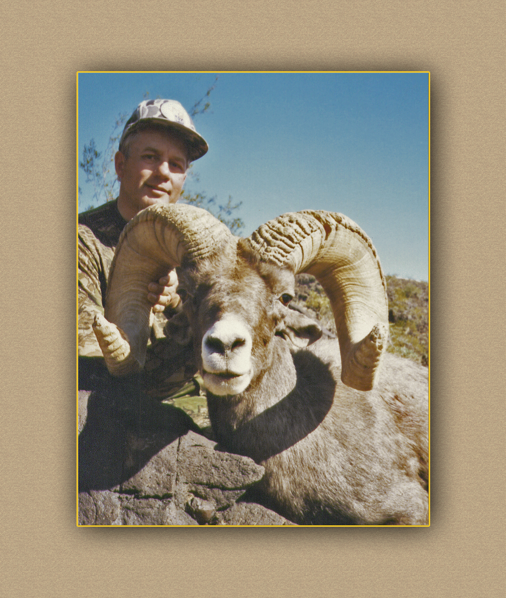 yellowhorn outfitters arizona hunting yellowhorn outfitters arizona bighorn sheep guiding outfitting deer elk antelope photography