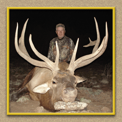 yellowhorn outfitters arizona hunting yellowhorn arizona bighorn sheep guiding outfitting deer elk antelope photography