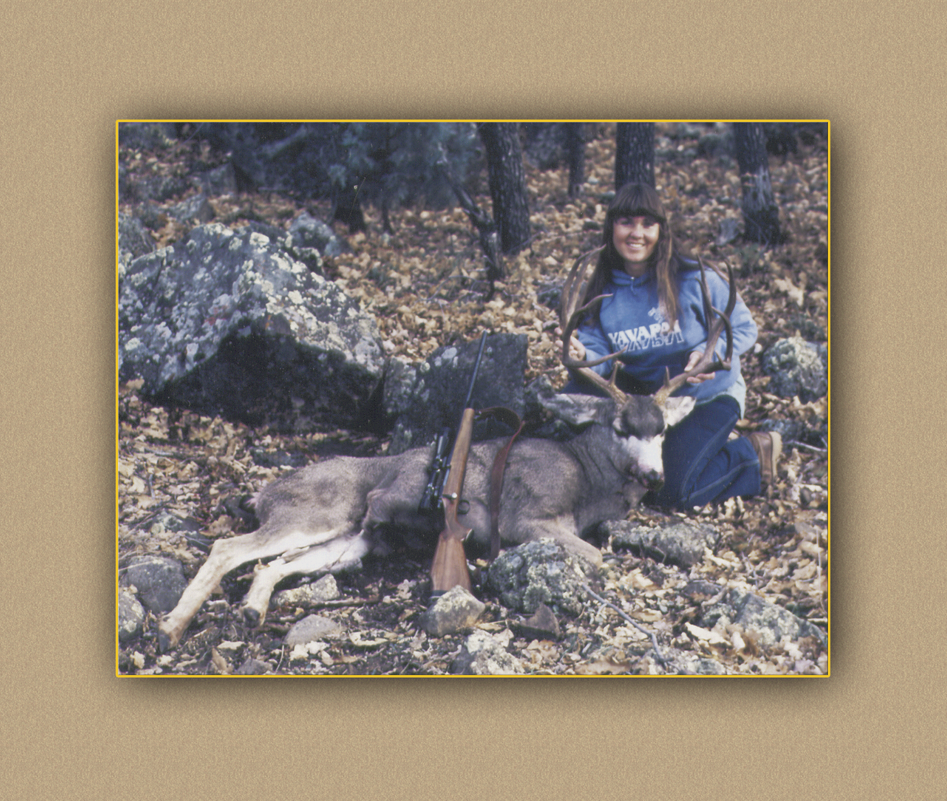 yellowhorn outfitters arizona hunting yellowhorn outfitters arizona bighorn sheep guiding outfitting deer elk antelope photography