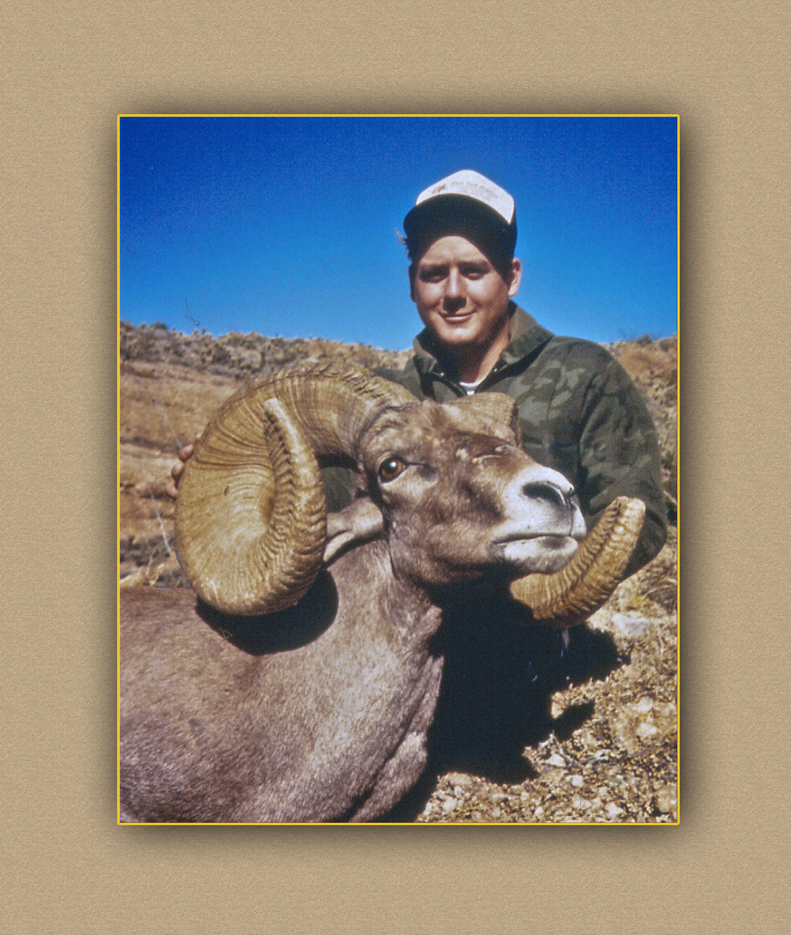 yellowhorn outfitters arizona hunting yellowhorn guiding outfitting bighorn sheep deer elk antelope photography