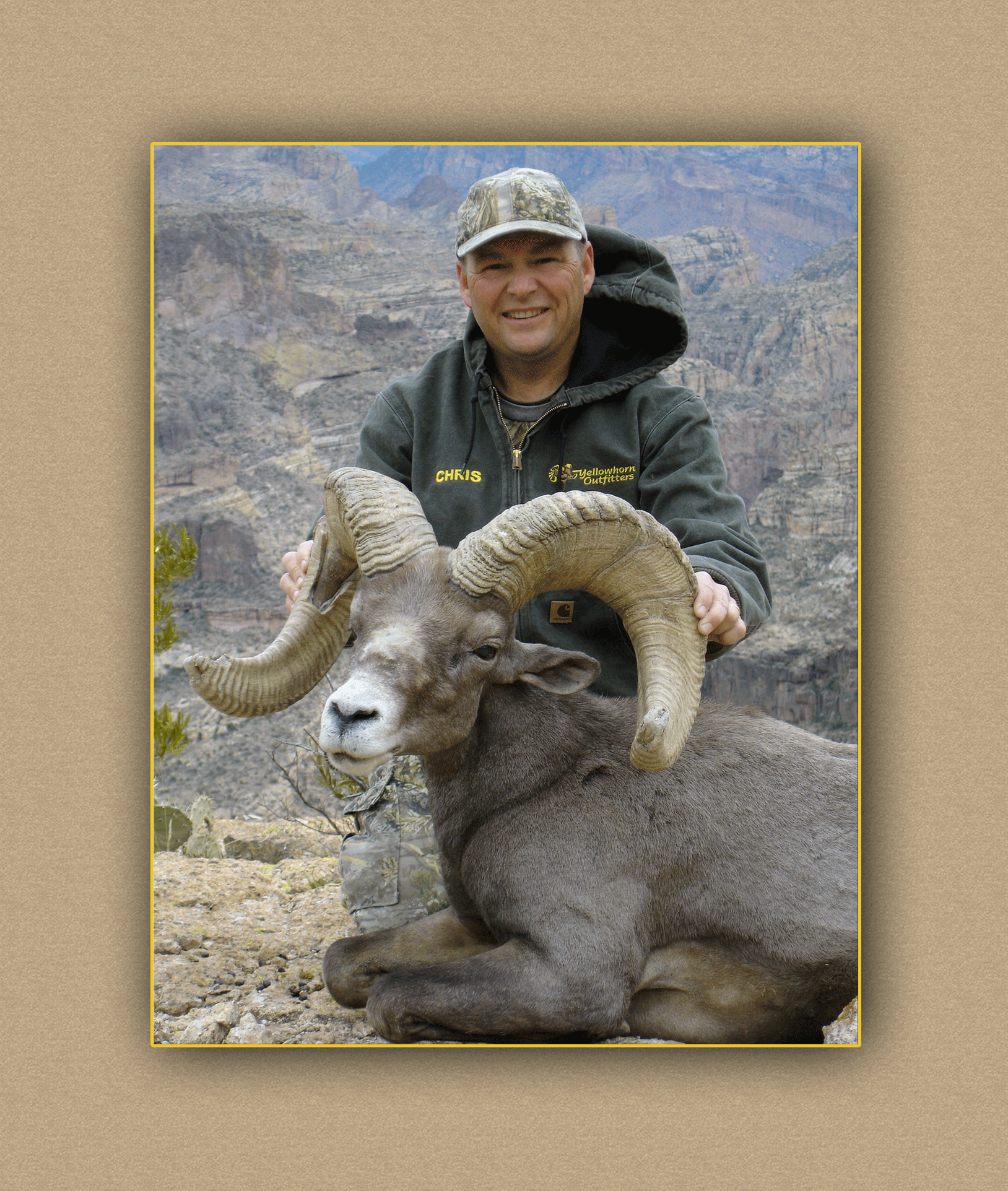 arizona hunting yellowhorn arizona bighorn sheep guiding outfitting deer elk antelope photography