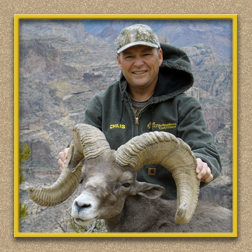 yellowhorn outfitters arizona hunting yellowhorn outfitters arizona bighorn sheep guiding outfitting deer elk antelope photography