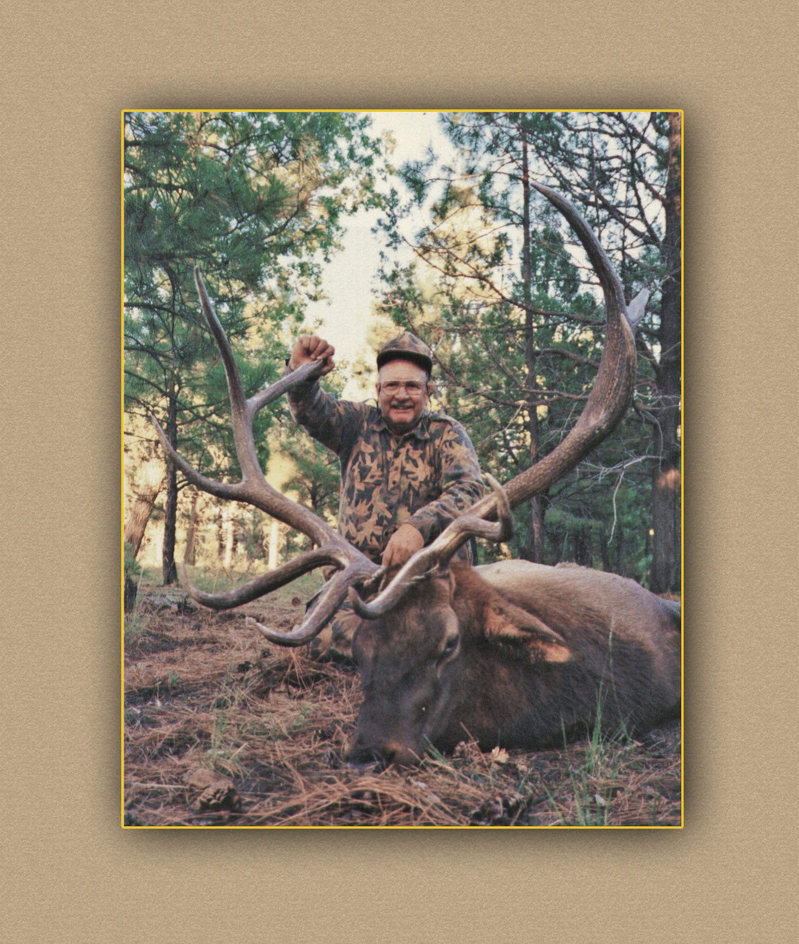 yellowhorn outfitters arizona hunting yellowhorn outfitters guiding outfitting deer elk bighorn sheep antelope photography