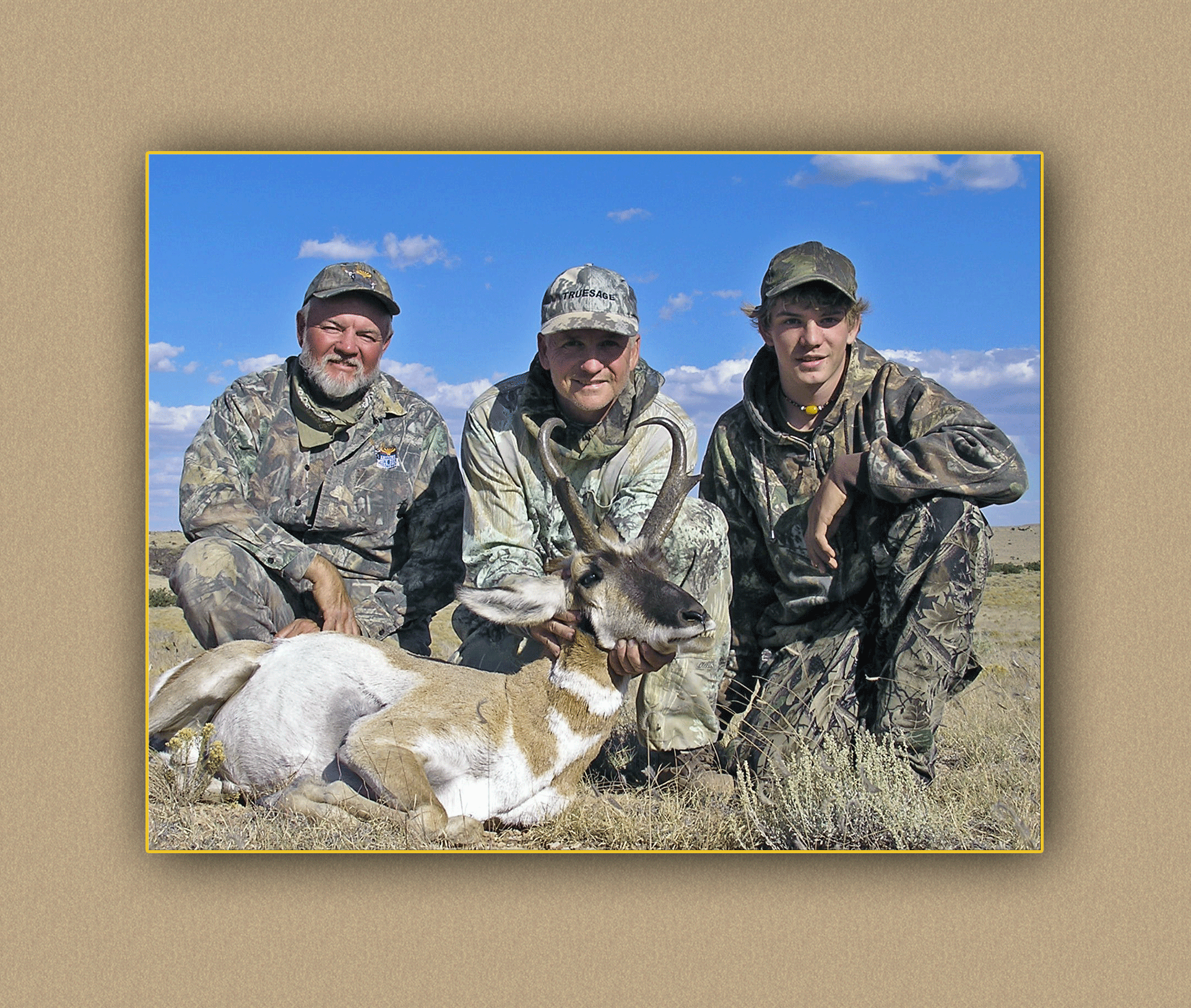 yellowhorn outfitters arizona hunting yellowhorn outfitters arizona bighorn sheep guiding outfitting deer elk antelope photography