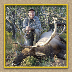arizona hunting yellowhorn arizona bighorn sheep guiding outfitting deer elk antelope photography