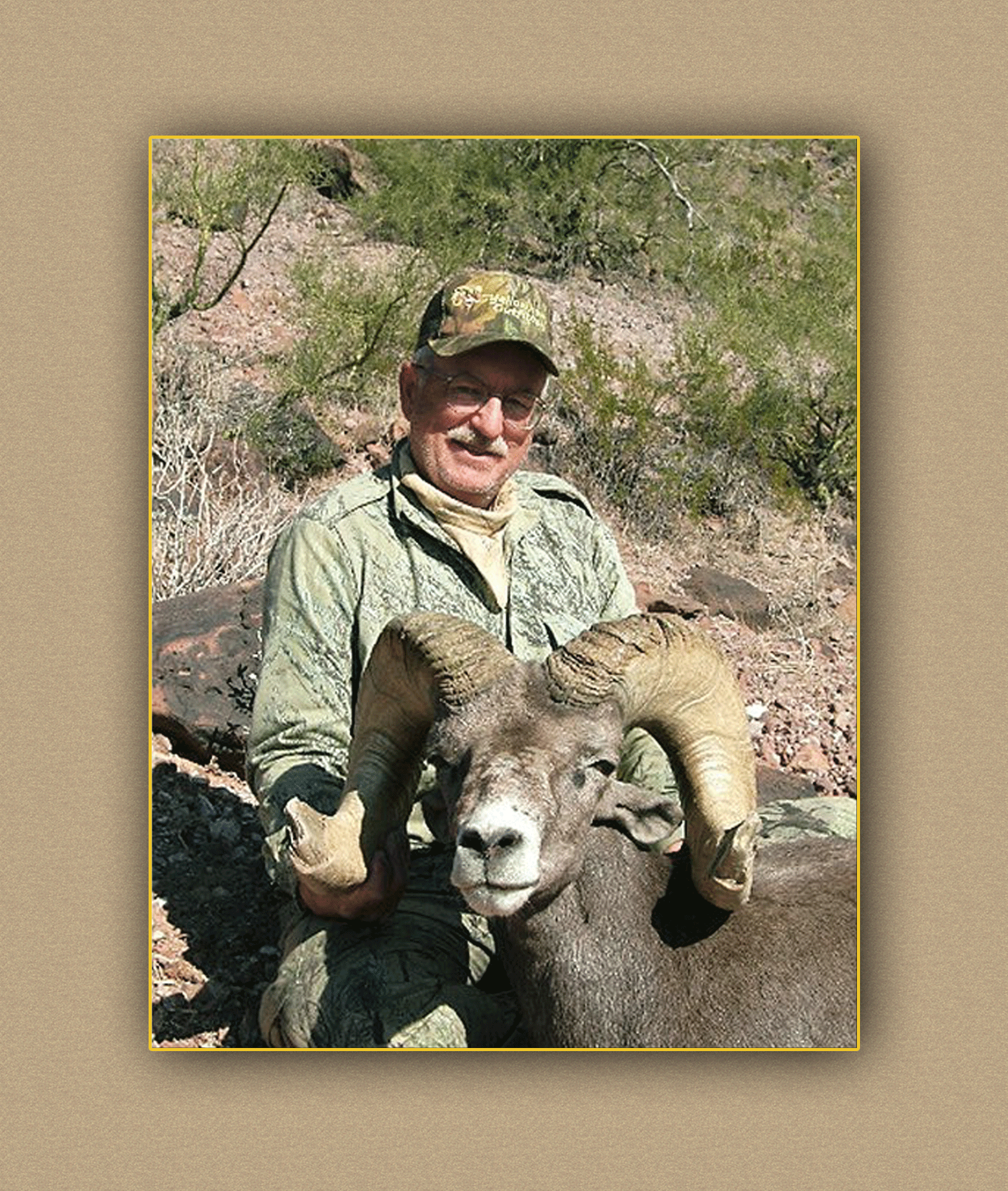 yellowhorn outfitters arizona hunting yellowhorn outfitters arizona bighorn sheep guiding outfitting deer elk antelope photography