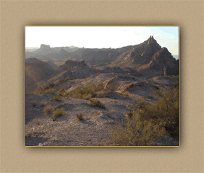 arizona hunting yellowhorn arizona bighorn sheep guiding outfitting deer elk antelope photography
