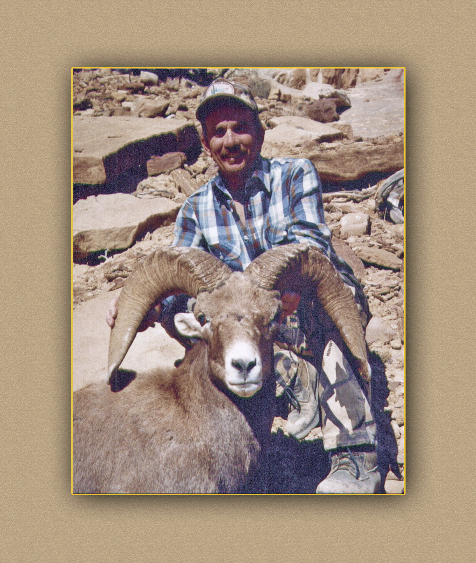 hunting yellowhorn guiding outfitting deer elk bighorn sheep antelope photography