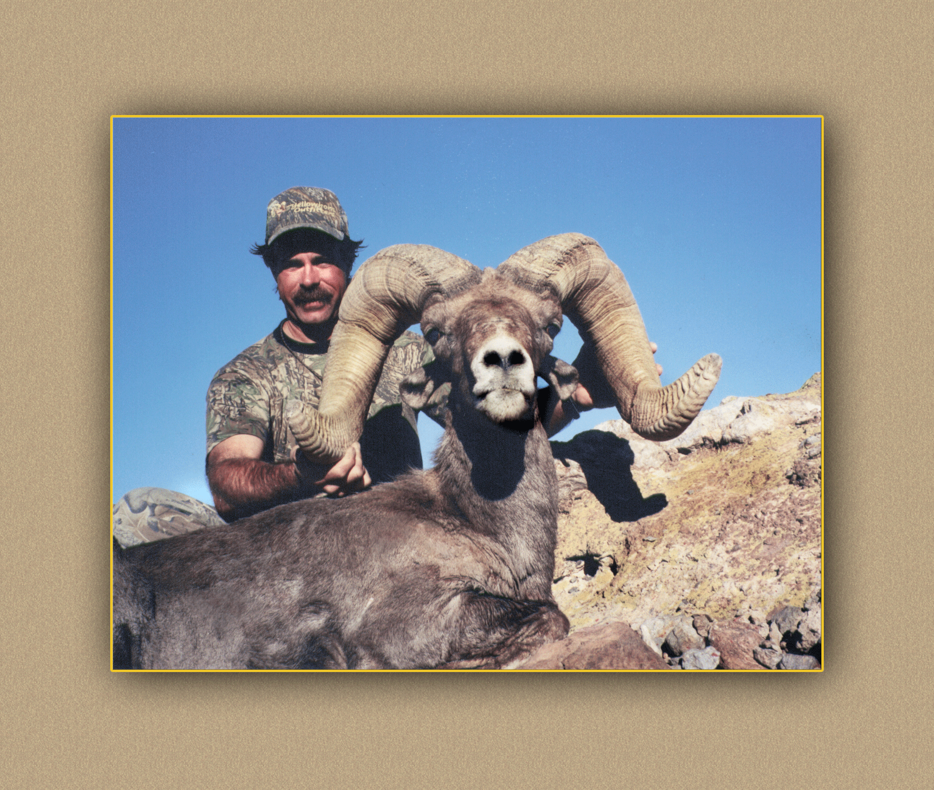 hunting yellowhorn guiding outfitting deer elk bighorn sheep antelope photography
