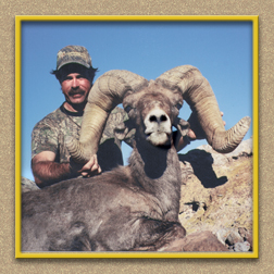yellowhorn outfitters arizona hunting yellowhorn outfitters arizona bighorn sheep guiding outfitting deer elk antelope photography