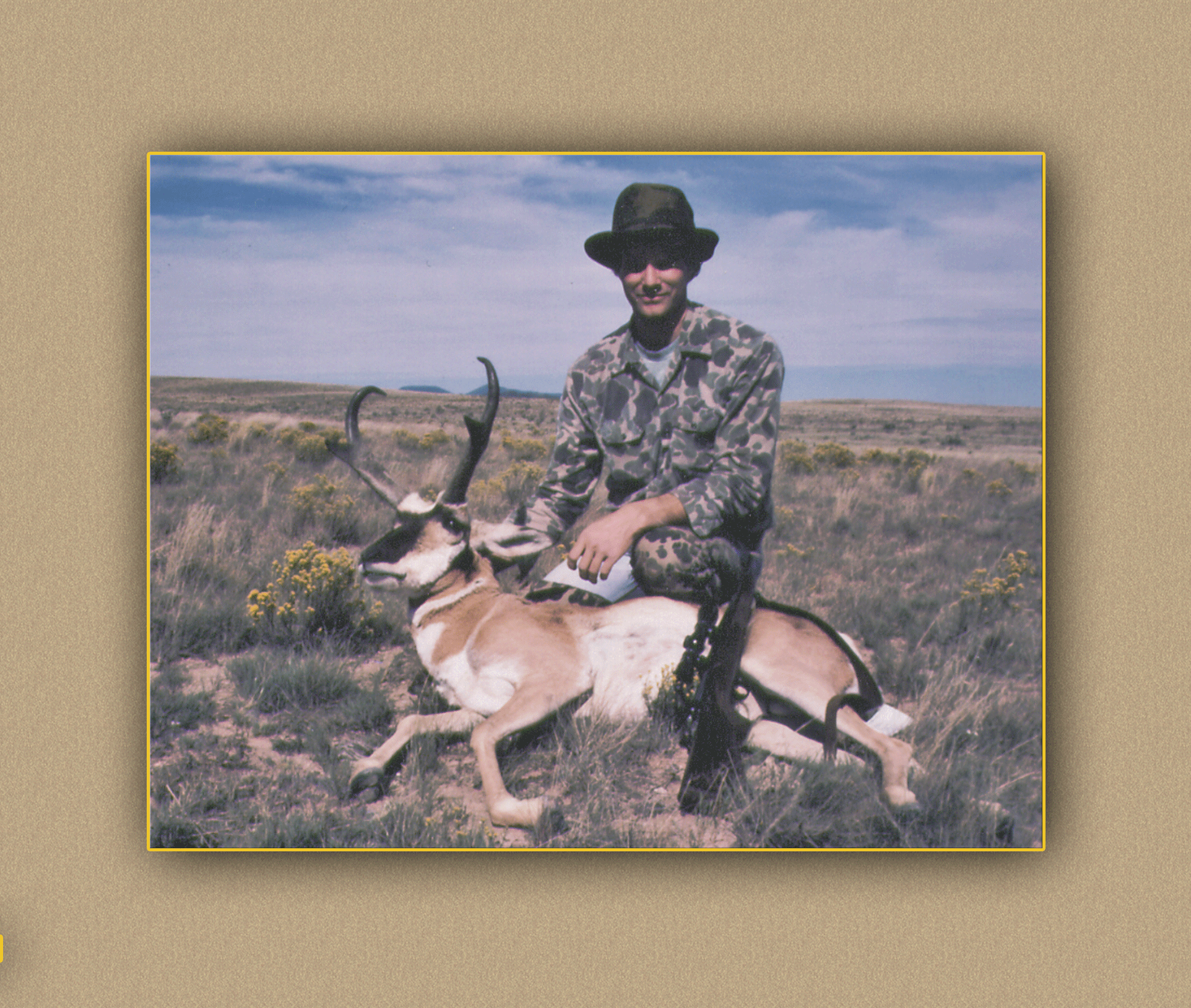arizona hunting yellowhorn arizona bighorn sheep guiding outfitting deer elk antelope photography