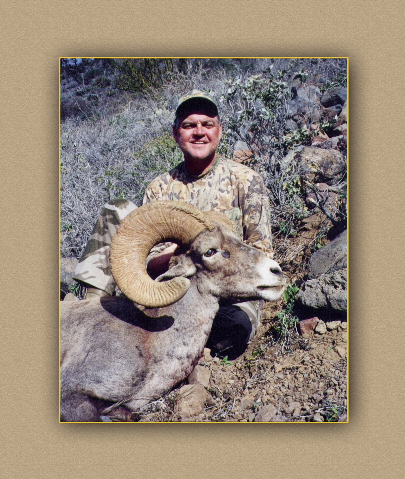 arizona hunting yellowhorn arizona bighorn sheep guiding outfitting deer elk antelope photography