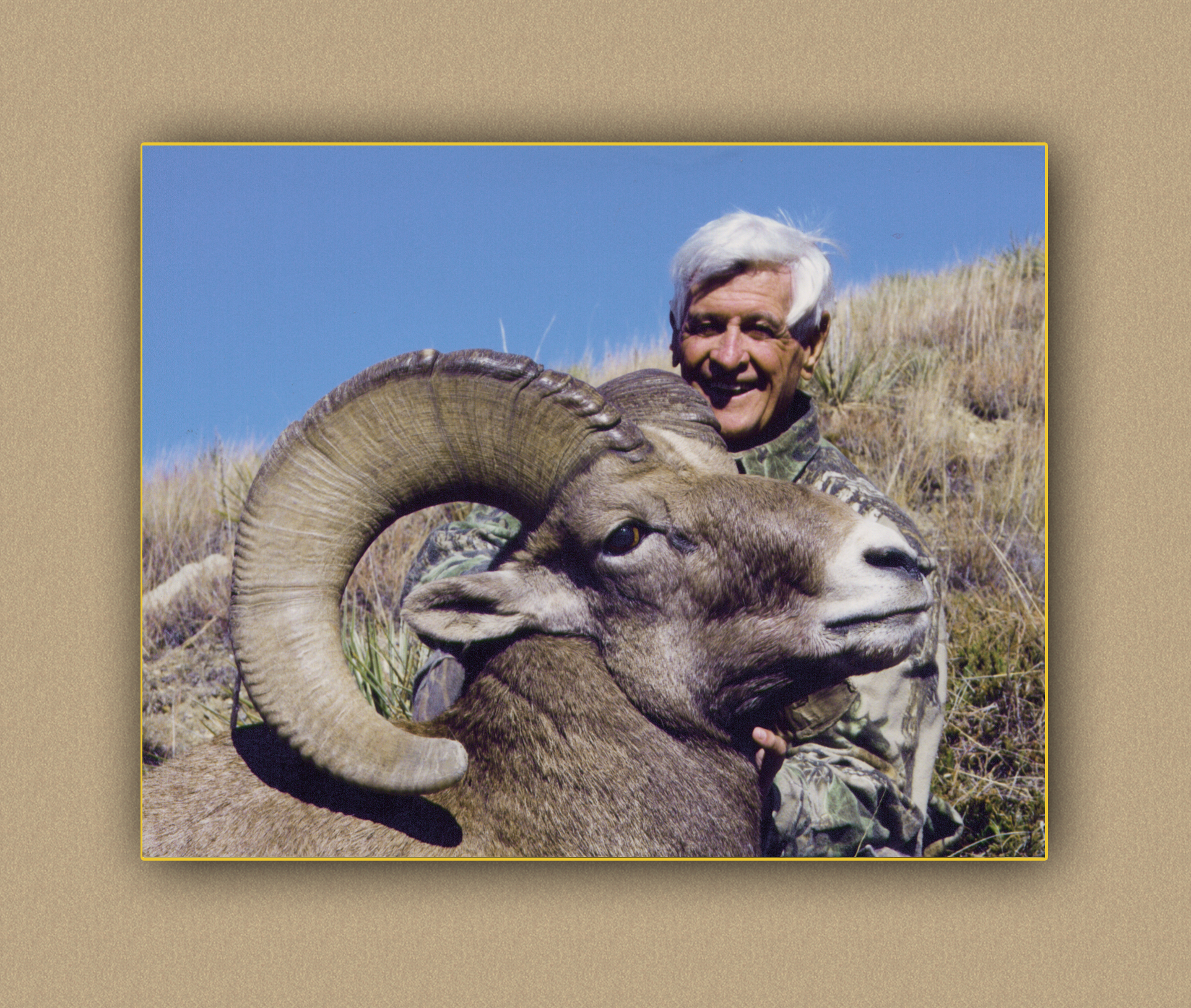 yellowhorn outfitters hunter6 gallery