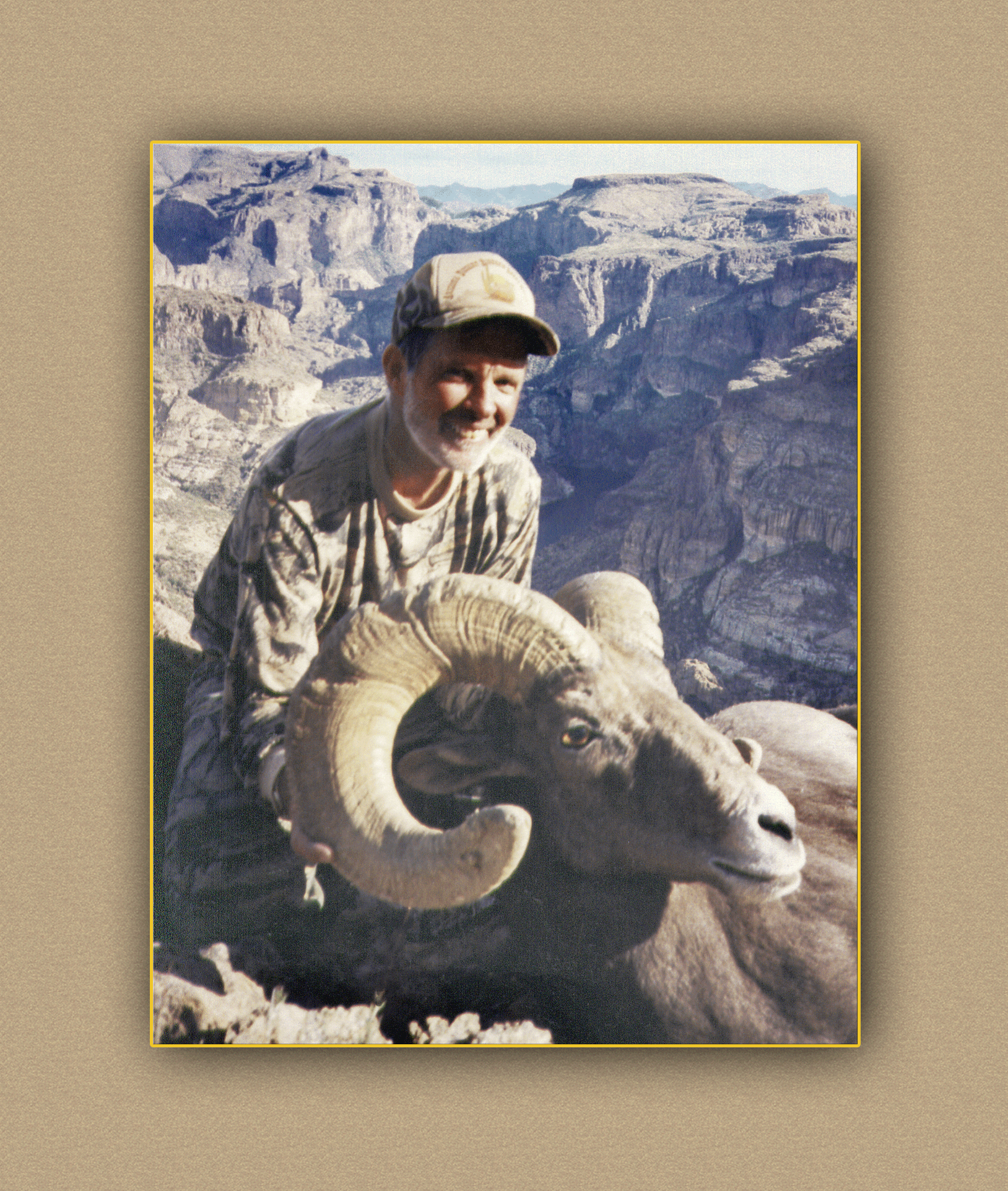 arizona hunting yellowhorn arizona bighorn sheep guiding outfitting deer elk antelope photography