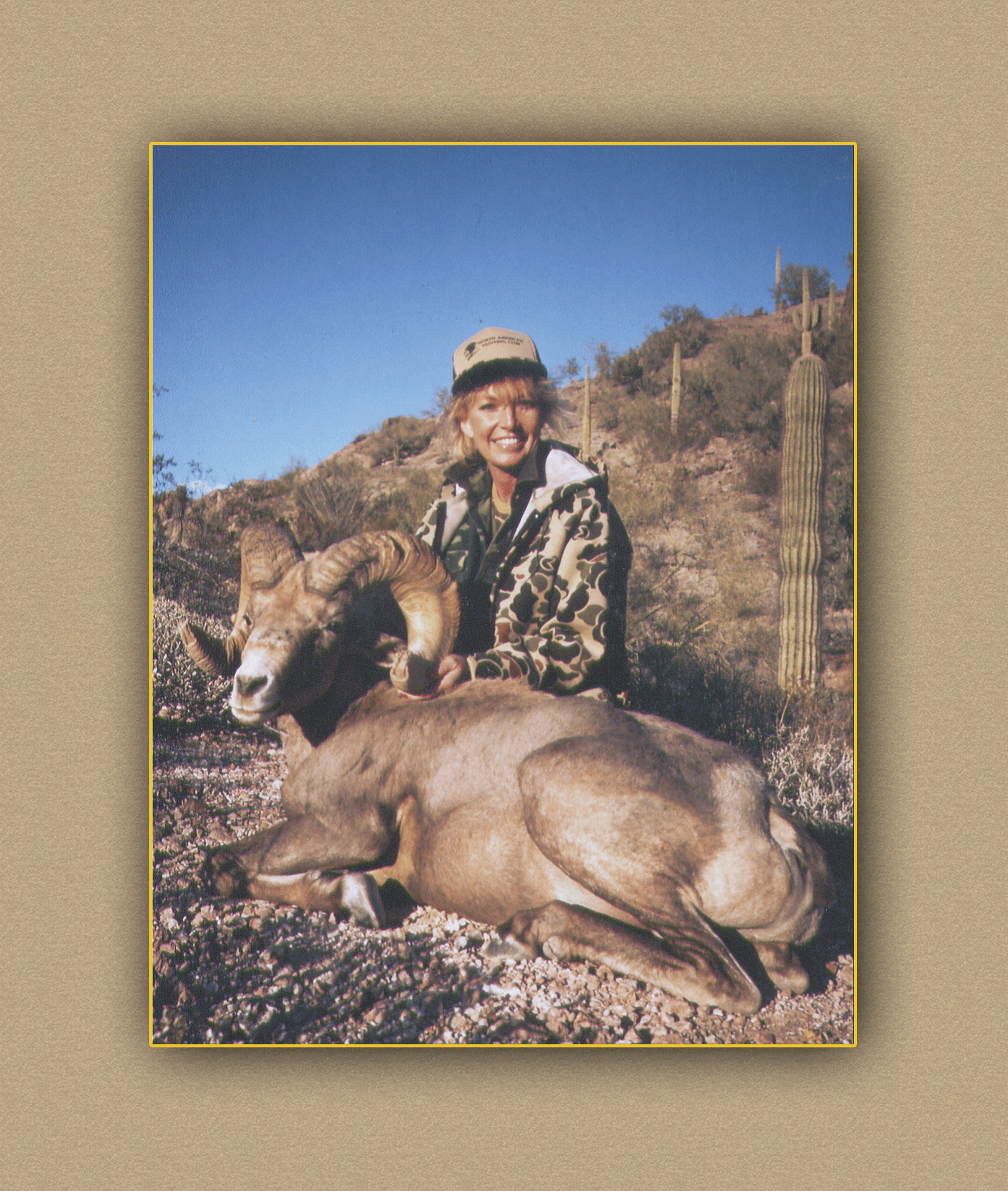arizona hunting yellowhorn arizona bighorn sheep guiding outfitting deer elk antelope photography