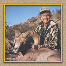 yellowhorn outfitters arizona hunting yellowhorn outfitters arizona bighorn sheep guiding outfitting deer elk antelope photography