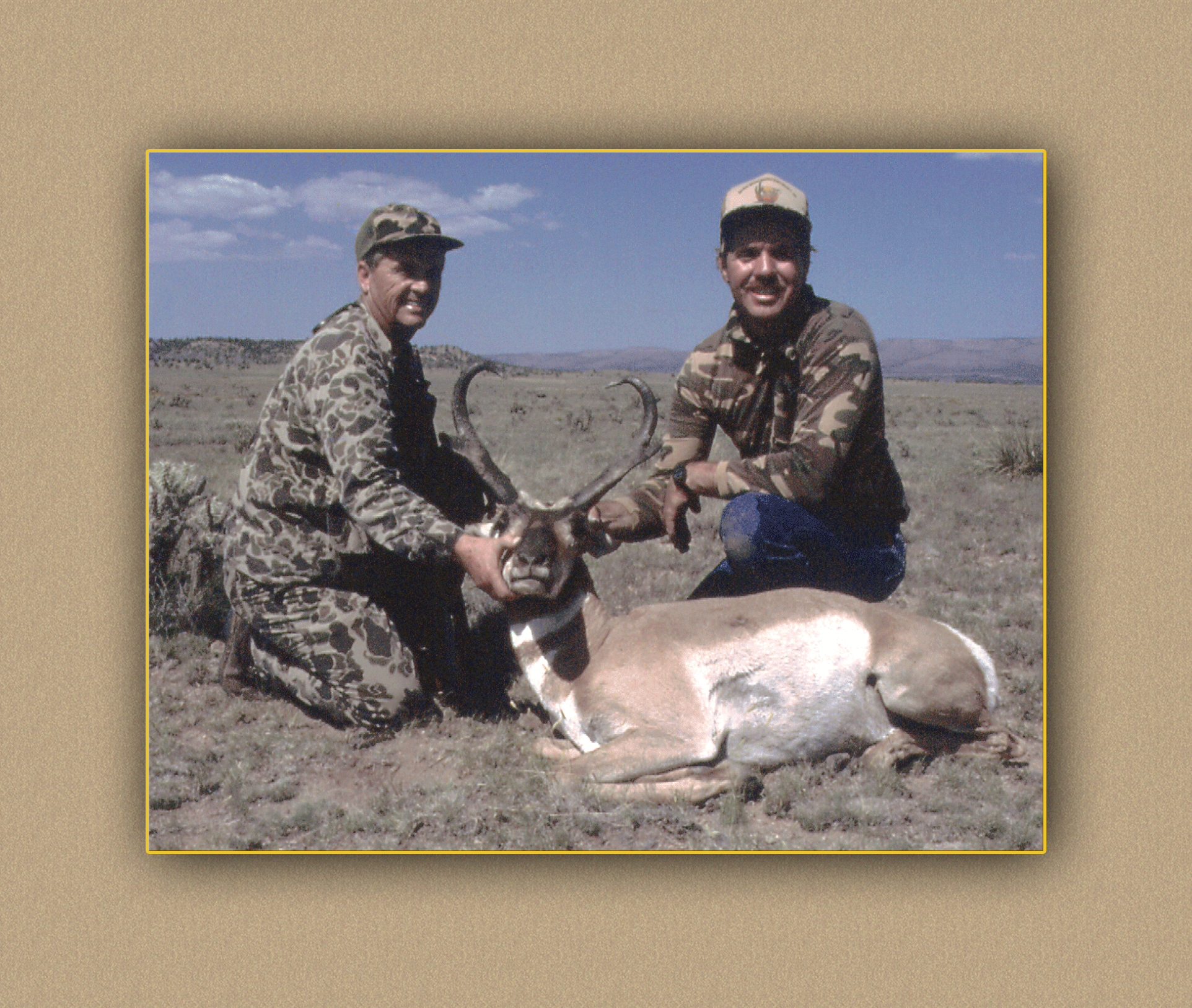 arizona hunting yellowhorn arizona bighorn sheep guiding outfitting deer elk antelope photography