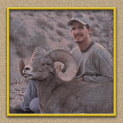 yellowhorn outfitters arizona hunting yellowhorn outfitters arizona bighorn sheep guiding outfitting deer elk antelope phototgraphy