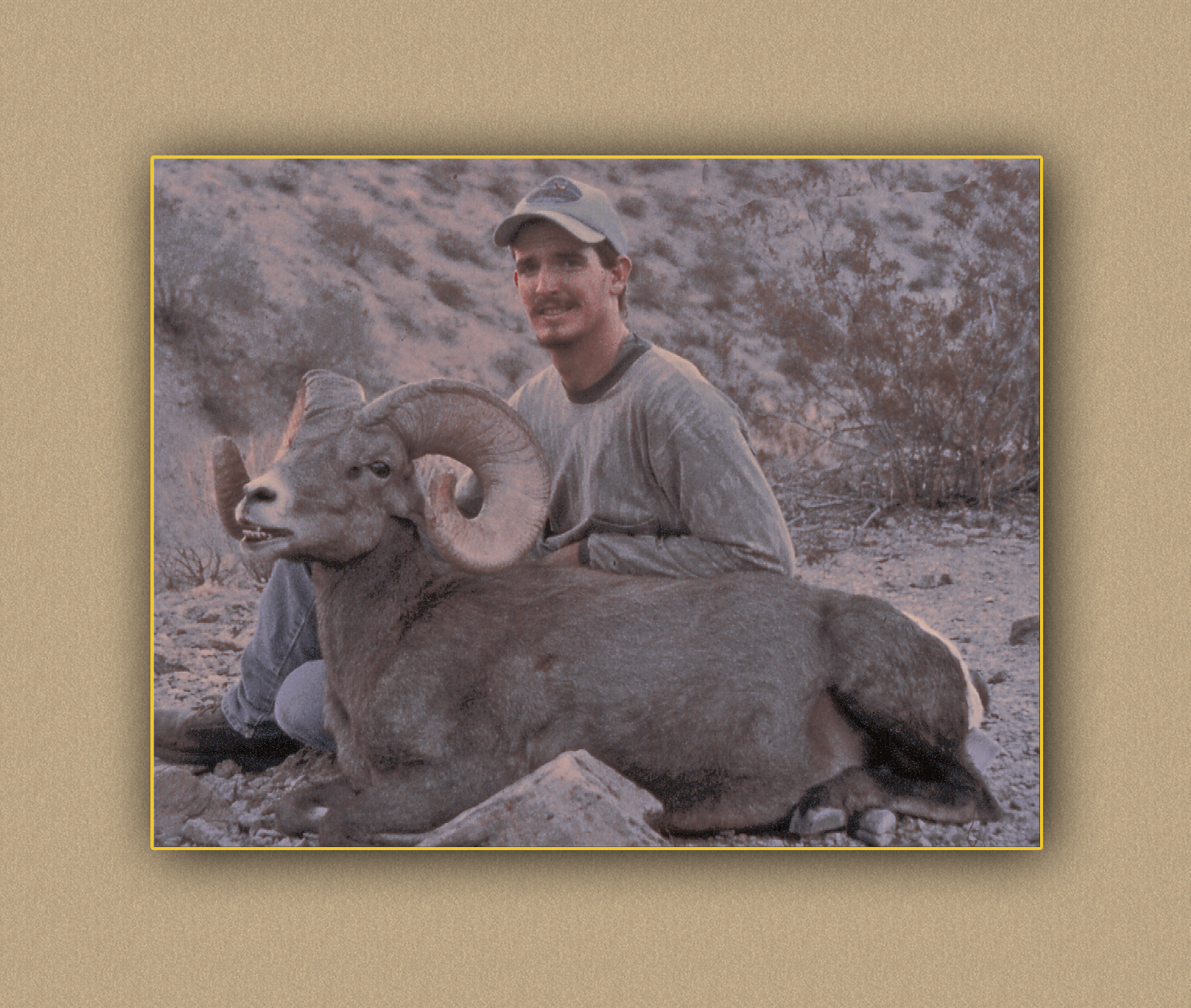 hunting yellowhorn bighorn sheep guiding outfitting deer elk antelope photography