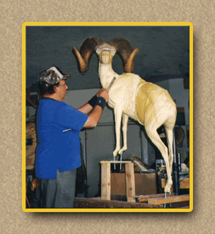 hunting yellowhorn guiding outfitting deer elk bighorn sheep antelope