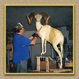 hunting yellowhorn guiding outfitting deer elk bighorn sheep antelope 