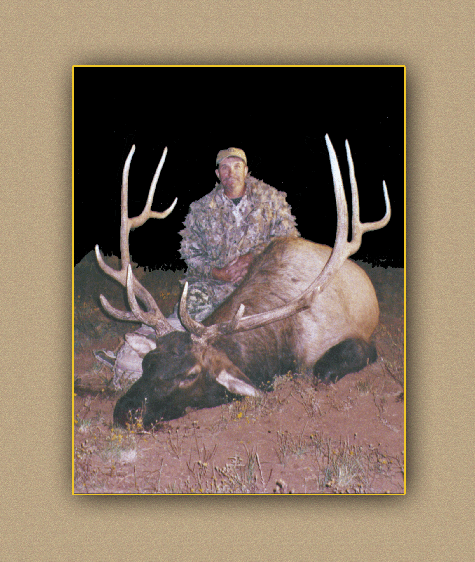 hunting yellowhorn guiding outfitting deer elk bighorn sheep antelope photography