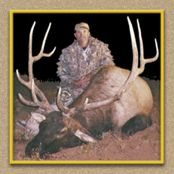 arizona hunting yellowhorn arizona bighorn sheep guiding outfitting deer elk antelope photography