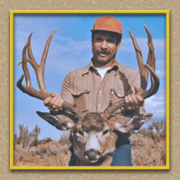 hunting yellowhorn bighorn sheep guiding outfitting deer elk antelope photography