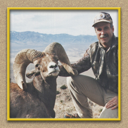 yellowhorn outfitters arizona hunting yellowhorn outfitters arizona bighorn sheep guiding outfitting deer elk antelope photography