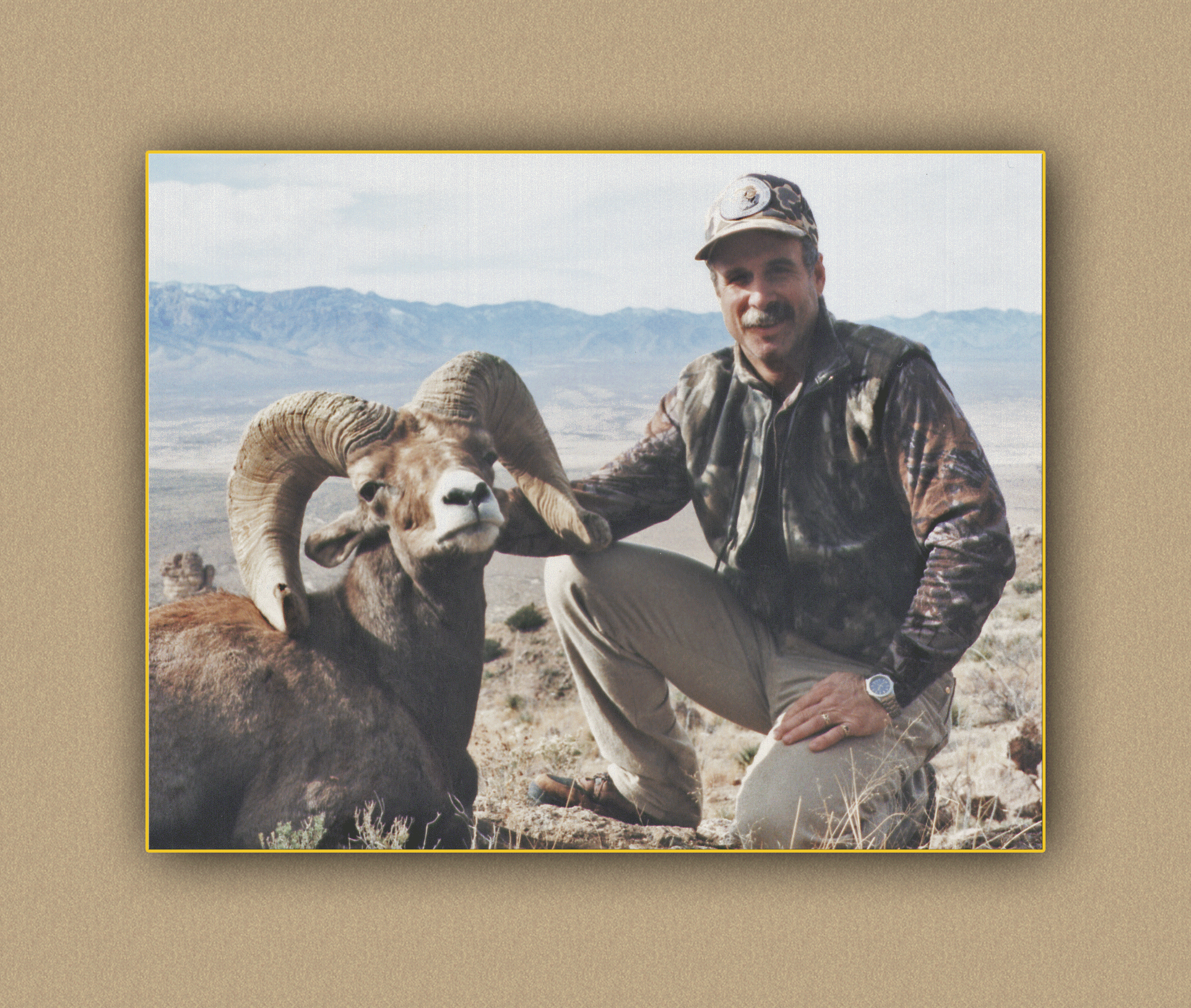 arizona hunting yellowhorn arizona bighorn sheep guiding outfitting deer elk antelope photography