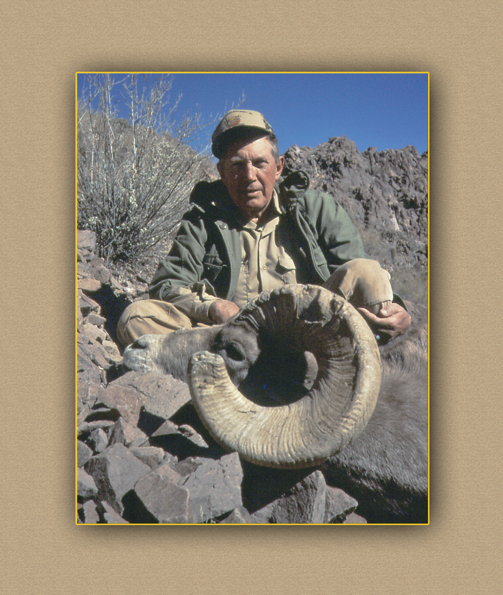 hunting yellowhorn bighorn sheep guiding outfitting deer elk antelope photography