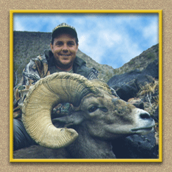 yellowhorn outfitters arizona hunting yellowhorn outfitters  arizona bighorn sheep guiding outfitting deer elk antelope photography