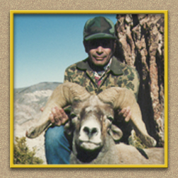 yellowhorn outfitters arizona hunting yellowhorn outfitters arizona bighorn sheep guiding outfitting deer elk antelope photography